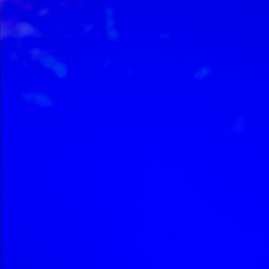 Meet your Posher, Brooklyn